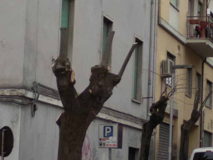 incendi boschivi