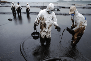 Il petrolio trasportato dalle correnti marine provoca danni ingenti all'ambiente 