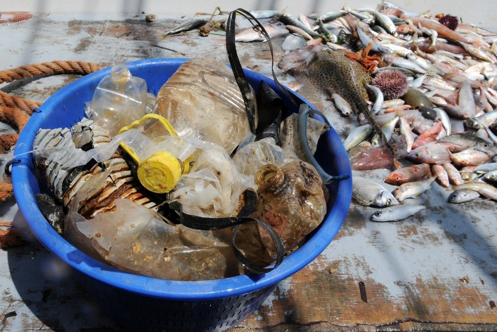 Salvamare - rifiuti nel pescato