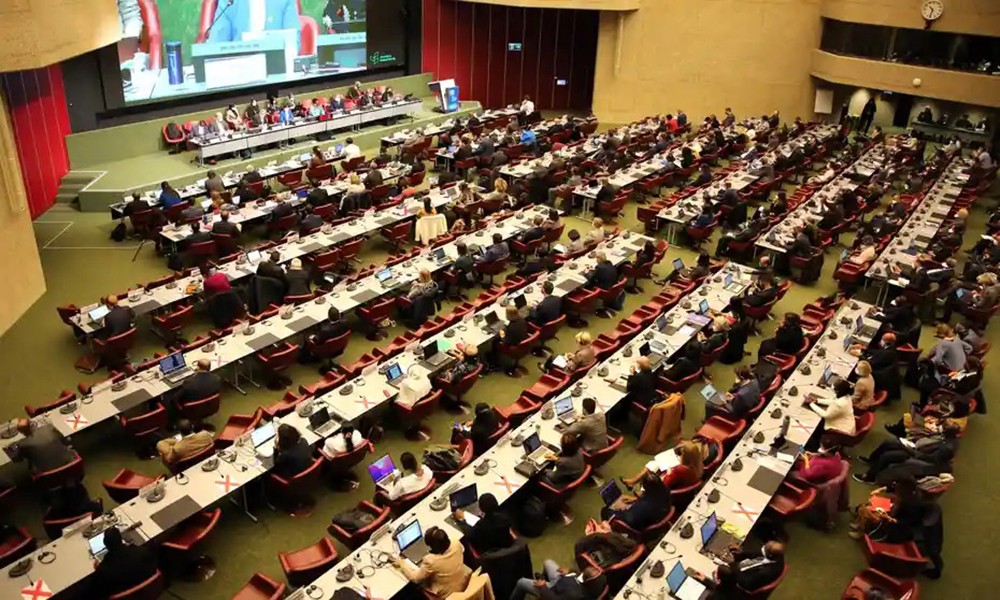 crisi di natura -Ginevra meeting della Convenzione sulla Diversità Biologica