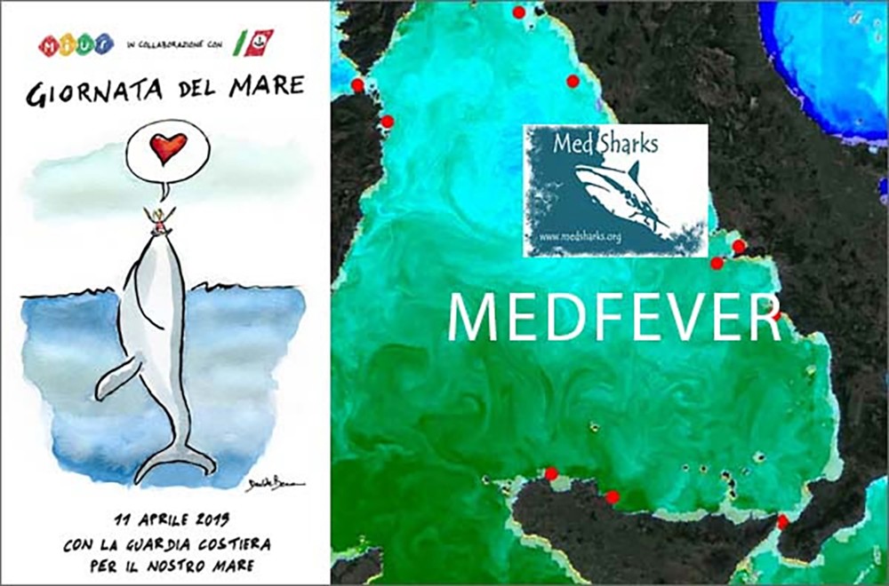 Mar Tirreno - giornata del mare MedFever