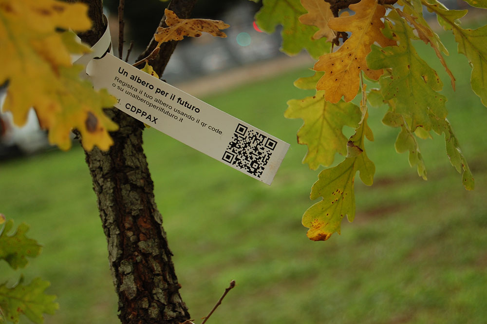 Il qr code identificativo dell'albero piantumato