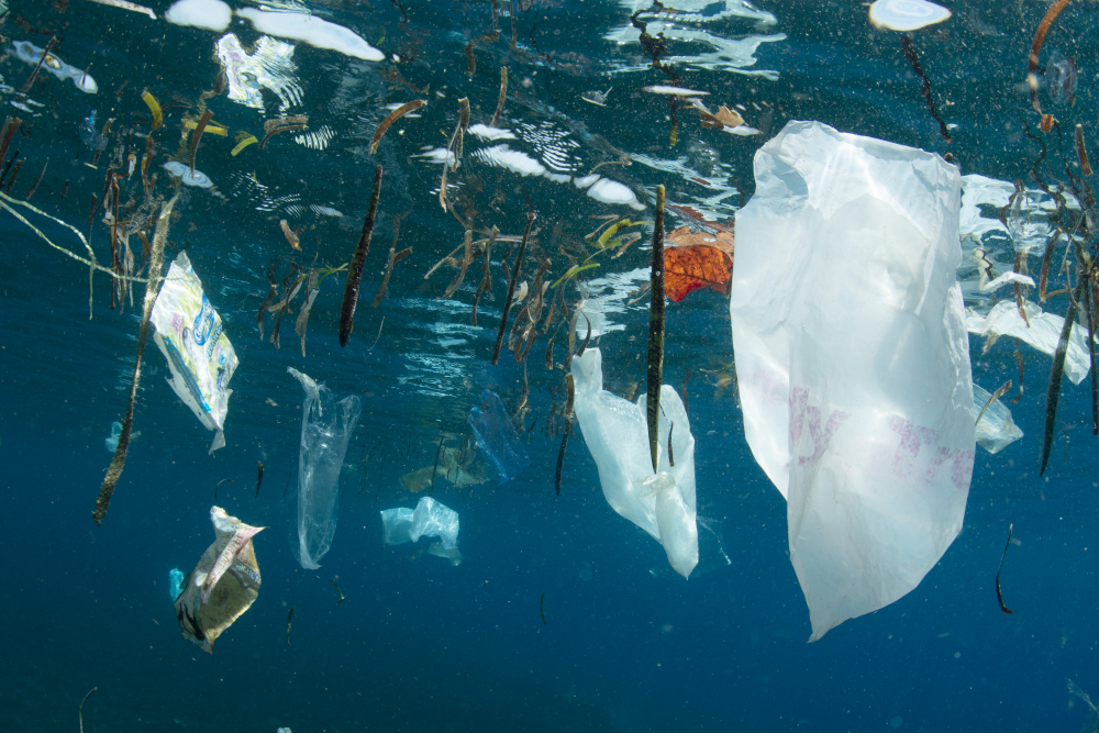 inquinamento marino da plastica