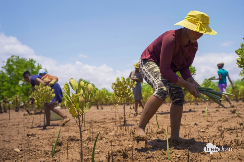 Treedom e Plastic free insieme per la Giornata della Terra
