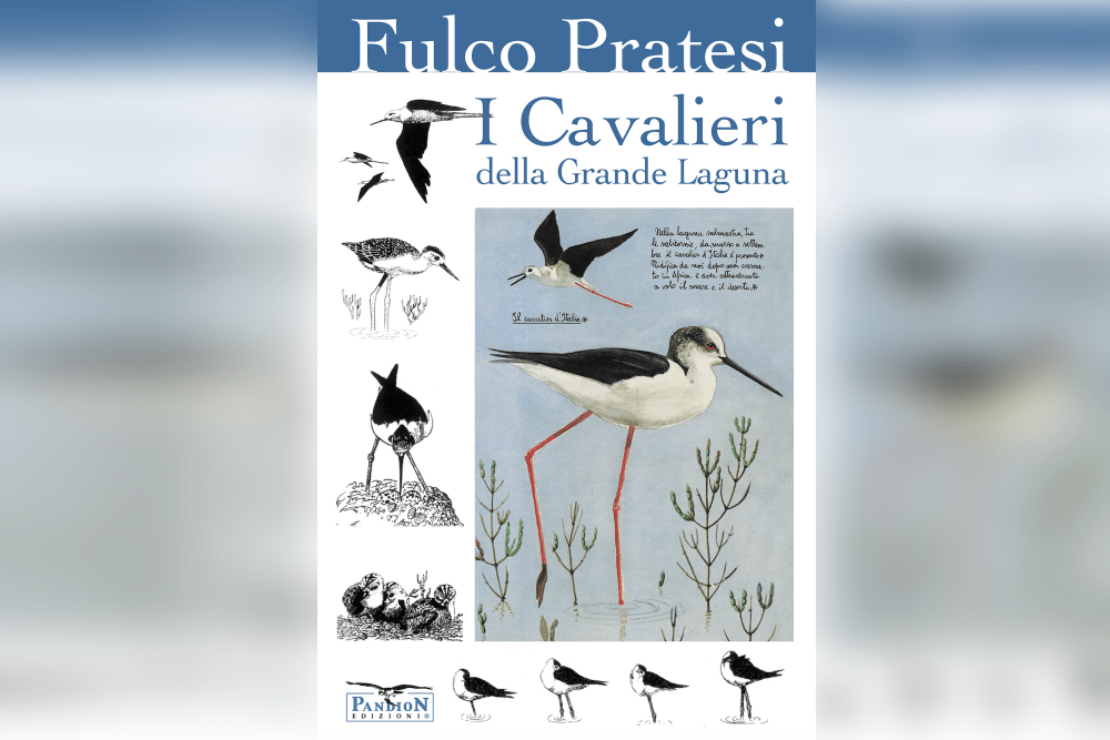 I Cavalieri della Grande Laguna