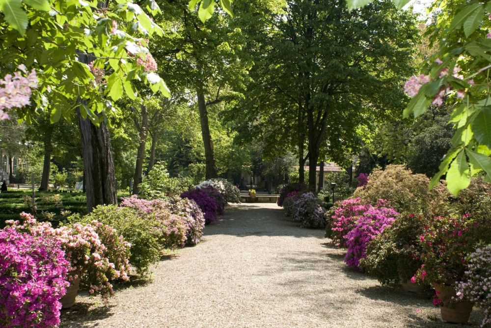 Il “Giardino dei semplici”, a Firenze, cuore verde nella culla del Rinascimento
