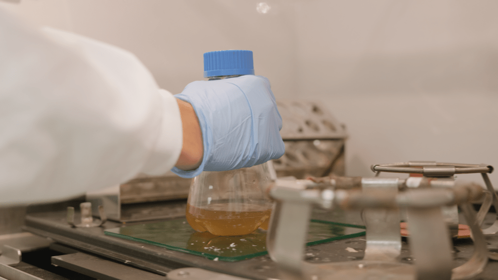 Università di Edinburgo: batteri trasformano i rifiuti plastici in paracetamolo