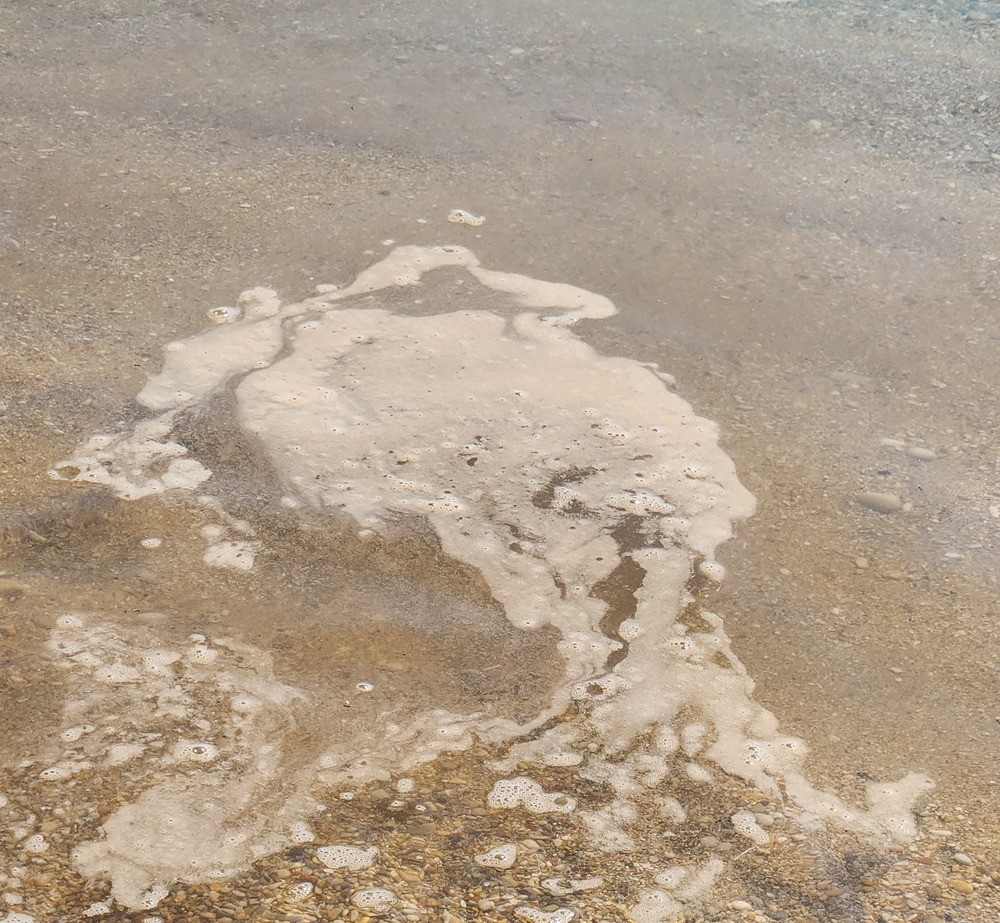 Mare inquinato tra Civitanova Marche e Porto Potenza