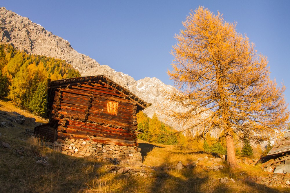 Foliage in Valtellina: dieci luoghi spettacolari per vivere l’autunno