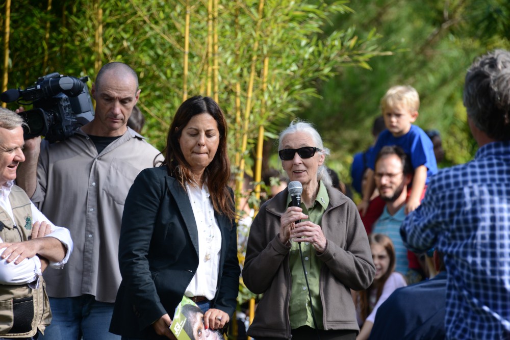 Jane Goodall al parco Natura Viva, ph 2014 Giorgio Ottolini