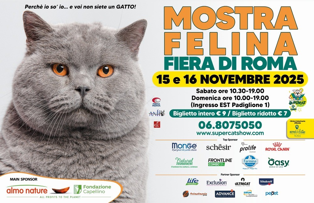 SuperCat Show locandina