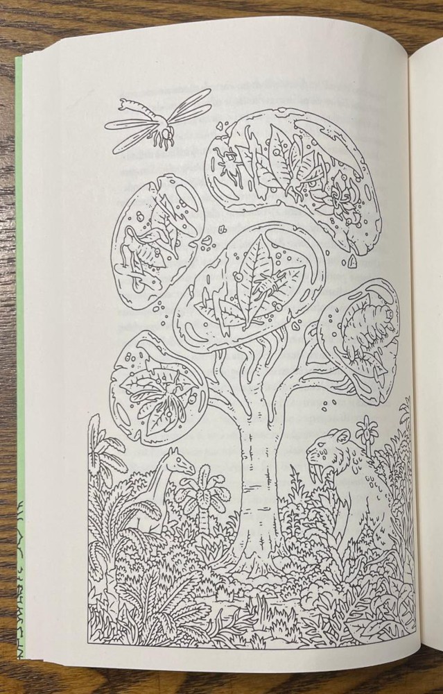 Dolci alberi