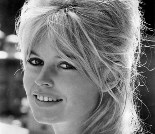 Brigitte Bardot, anima libera: il mondo del diritto rende omaggio a un’icona di libertà e impegno animalista