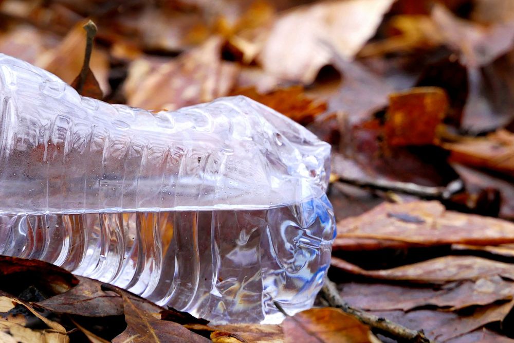 L’Albero vagabondo contro l’abbandono dei rifiuti