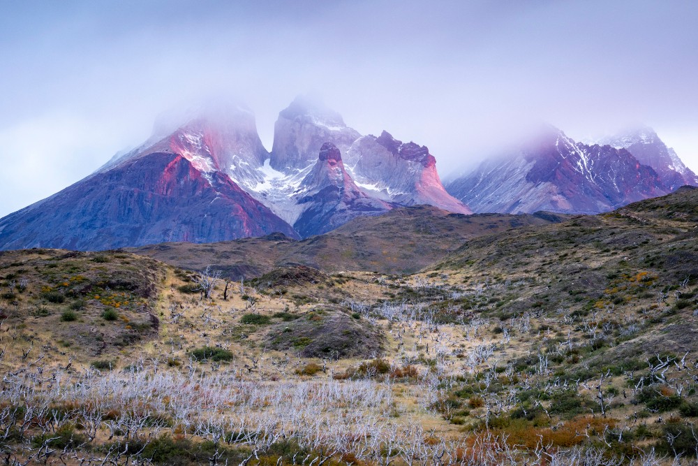 Il silenzio del Paine, DISCENDERE O SALIRE