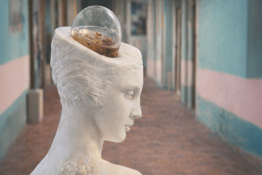 Arte viva: i batteri di ENEA entrano nella scultura contemporanea