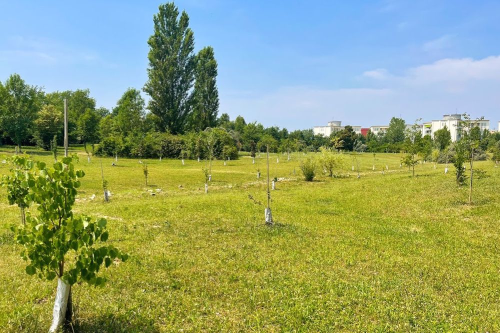 Parma Città resiliente: il premio al Bosco Urbano