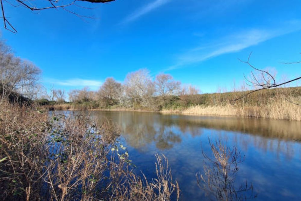 Il Drizzagno del Tevere a Spinaceto