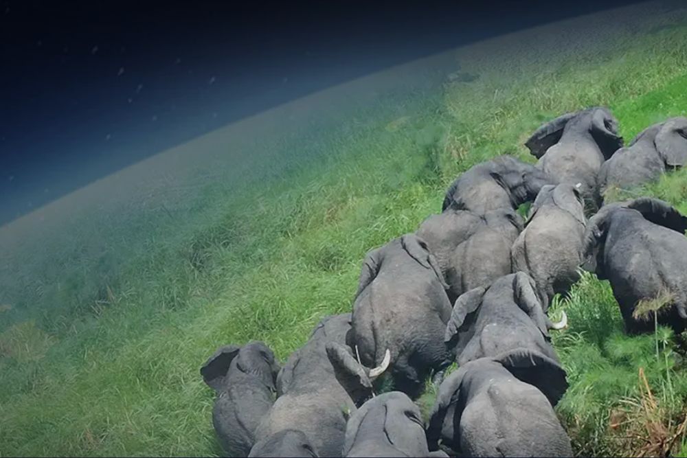 Planet earth