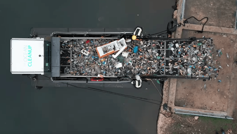 Garbage Patch