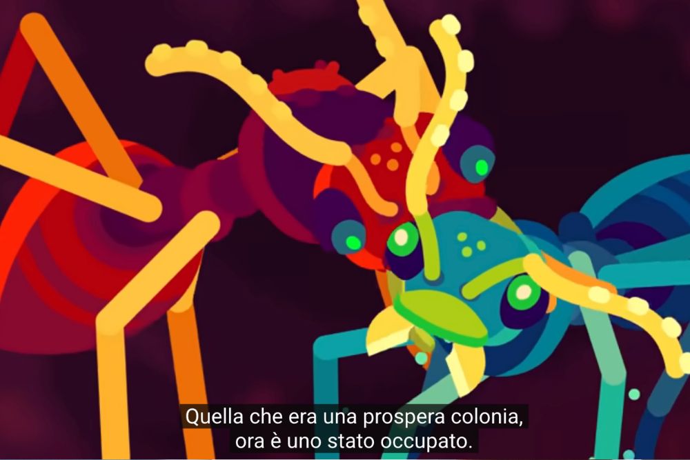 The horror of the slaver ant, documentari