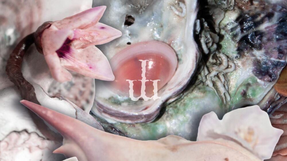 ELEMENTI 2026: arte contemporanea, paesaggio e ascolto attraversano la Romagna