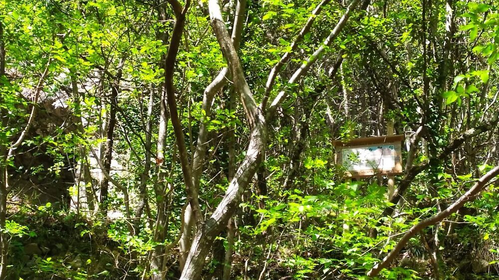 Nasce il Sentiero del Rio Lavello: natura e storia nei Monti Lattari