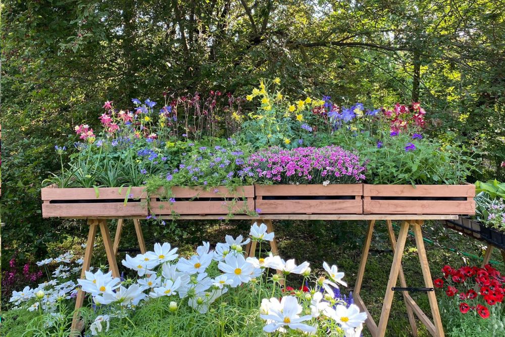 “Frutti del Castello”: a Paderna fiori, piante e idee