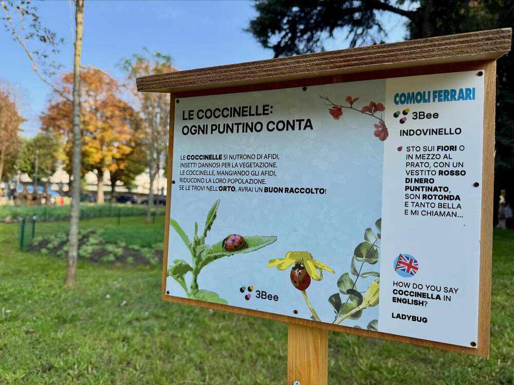 Alberi parlanti, un perocorso tra ecologia e innovazione (foto fornita e autorizzata da comunicato stampa)