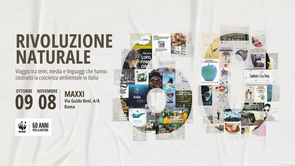 WWF - mostra locandina