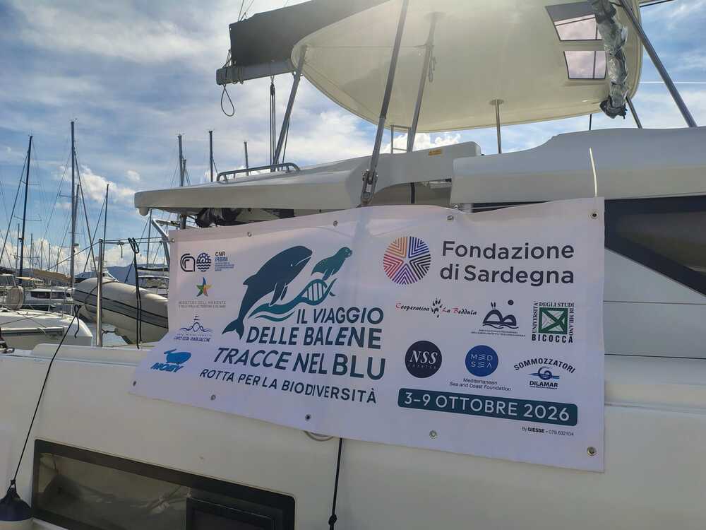 Tracce nel Blu - Lagoon 46 (1)